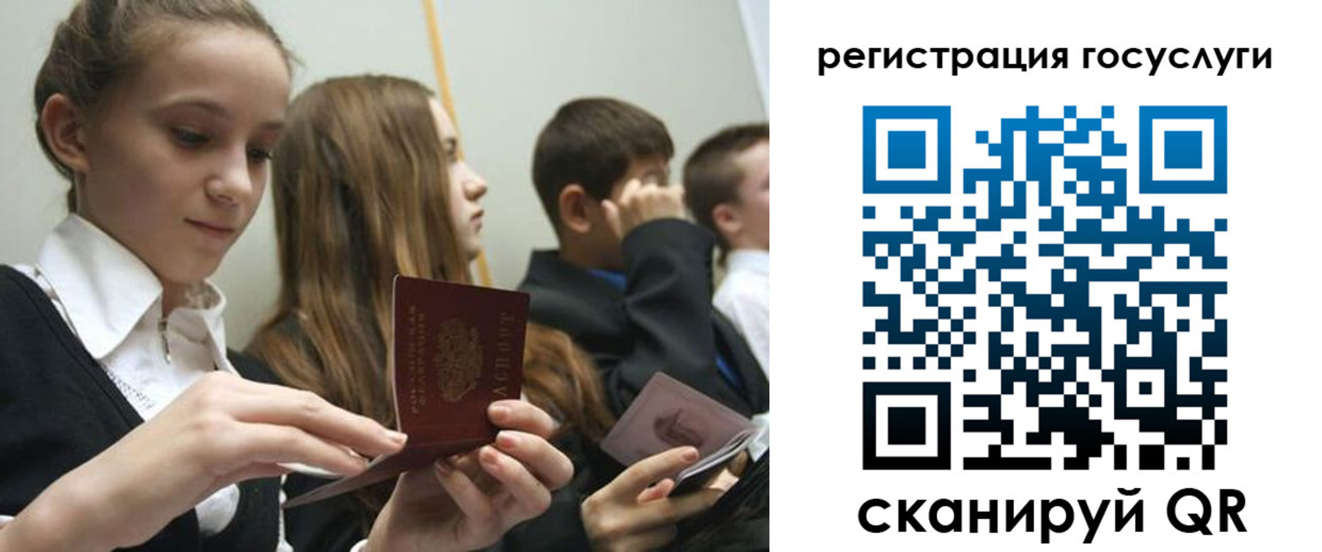 прописка поиск в Невеле